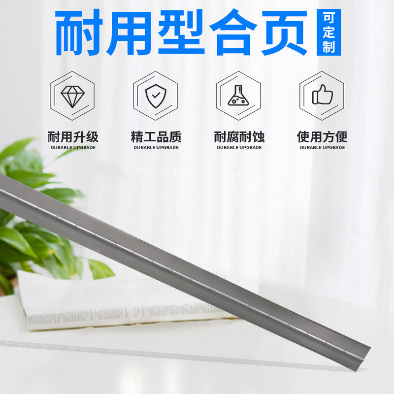 Long Piano Hinge, No-Hole Long Piano Hinge 1.8m, Welded Steel Piano Hinge, Thin Iron Hinge