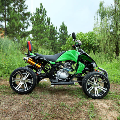 150CC-250CC ATV All-Terrain Motorcycle Beach Bike 4-Wheel Off-Road Motorcycle Electric Sand Buggy