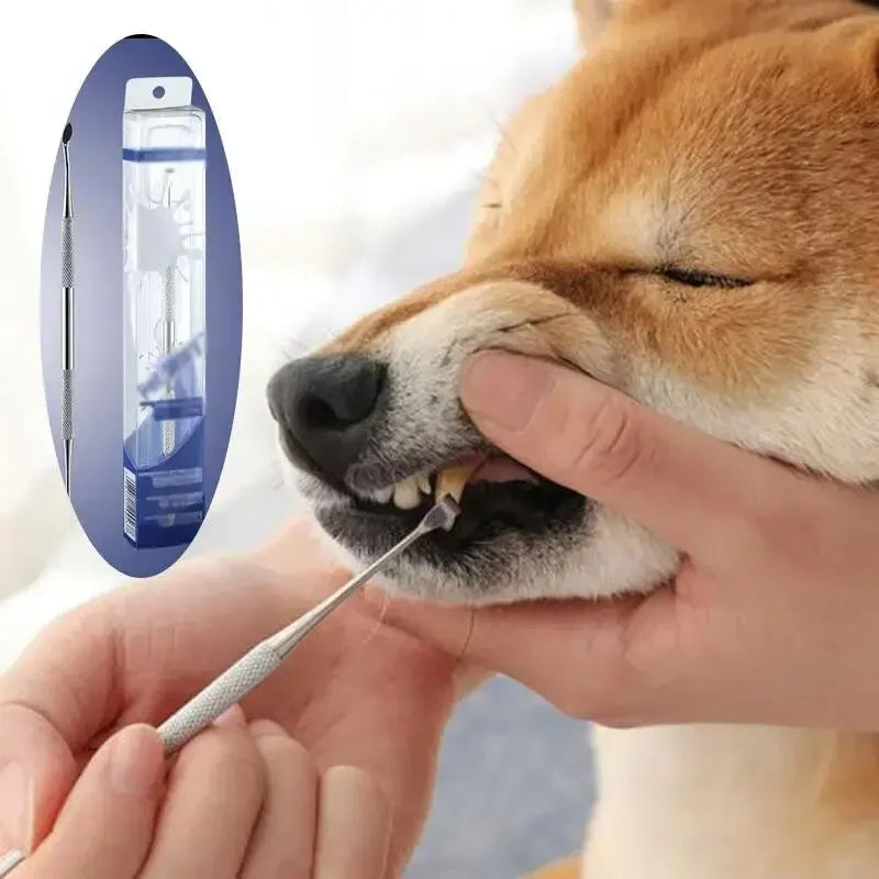 Pet Dog Tooth Cleaner Tartar Removers Scraper Dental Pen Stainless Steel Pet Puppy Mouth Breath Fresher Oral Cleaning Tool Leedoar