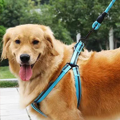 Pet Leash Explosion-proof Charging Dog Leash Reflective Round Leash Dog Chain Dog Leash Handle Leash Leedoar