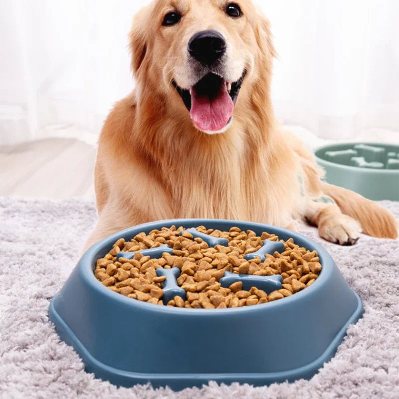 Pet Slow Food Bowl Anti-choking Feeder PP Plastic Dish Bowl Home Dog Eating Plate Anti-gulping Feeding Supplies Leedoar