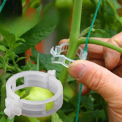 Plant Clips Supports Reusable Plastic Connects Fixing Vine Tomato Stem Grafting Vegetable Plants Orchard and Garden New Leedoar