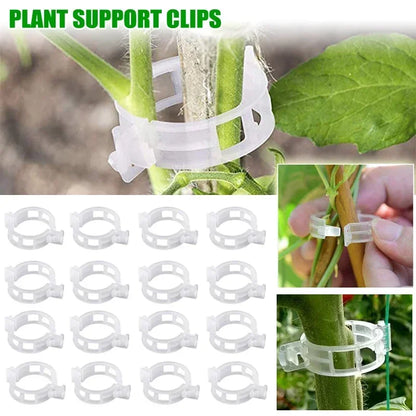 Plant Clips Supports Reusable Plastic Connects Fixing Vine Tomato Stem Grafting Vegetable Plants Orchard and Garden New Leedoar