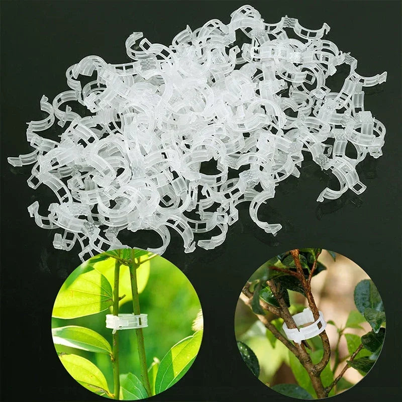 Plant Clips Supports Reusable Plastic Connects Fixing Vine Tomato Stem Grafting Vegetable Plants Orchard and Garden New Leedoar