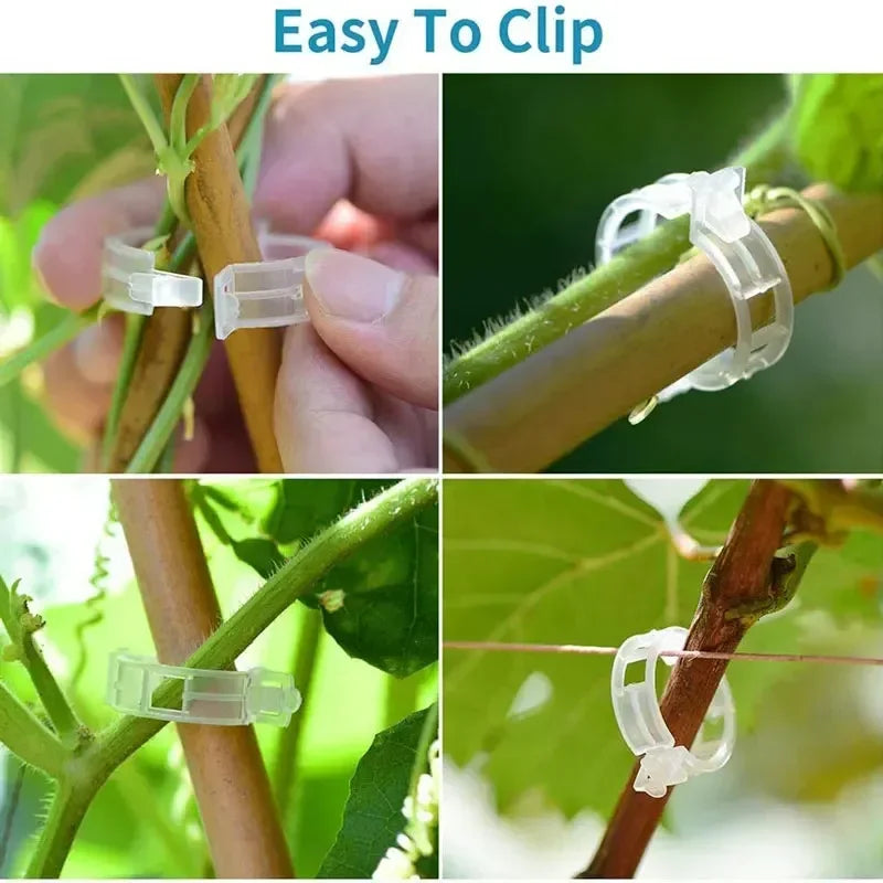 Plant Clips Supports Reusable Plastic Connects Fixing Vine Tomato Stem Grafting Vegetable Plants Orchard and Garden New Leedoar