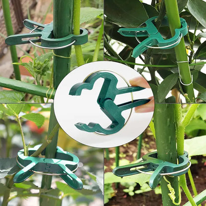 Plant Fixed Clips Reusable Garden Greenhouse Bracket for Fixed Plants Vine Flower Seedling Tomatoes Support Garden Supplies Leedoar