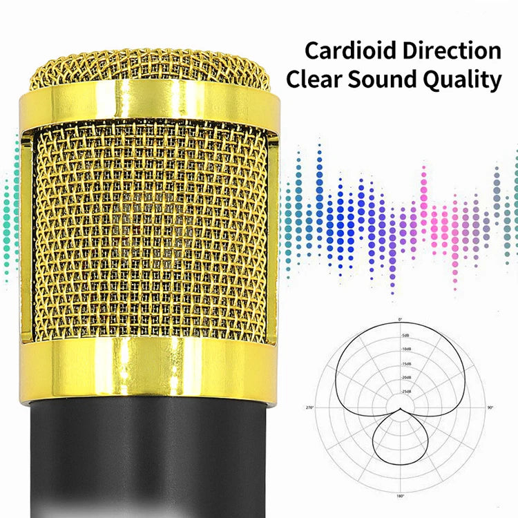 BM800 V8S Sound Card Professional Audio Set BM800 Mic Studio Condenser Microphone for Karaoke Podcast Recording Live Streaming Leedoar