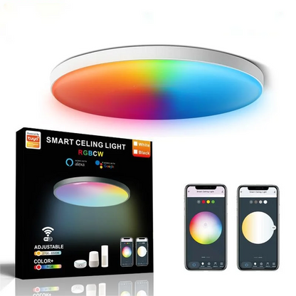 Graffiti WIFI Intelligent Ceiling Lamp Alexa Google Ultra-Thin Simple Tuya RGBCW Colorful Bedroom Lamp Living Room Atmosphere Leedoar