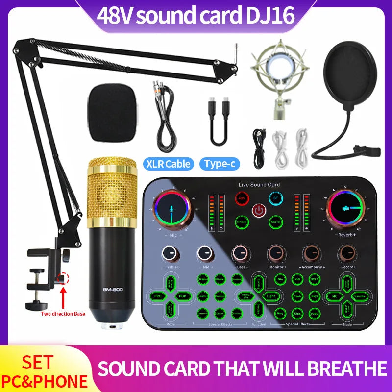 48V DJ16 Sound Card BM 800 Microphone Bluetooth Wireless Karaoke with Live Streaming for PC Phone Singing Games Youtube TikTok Leedoar