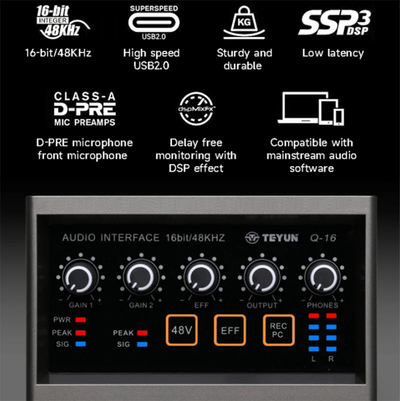 TEYUN Q-16 Professional Audio Sound Card with Electric Guitar Monitor Recording Live Broadcast for Singing Computer PC Studio Leedoar