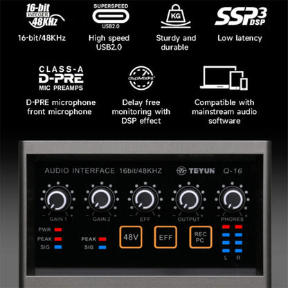 TEYUN Q-16 Professional Audio Sound Card with Electric Guitar Monitor Recording Live Broadcast for Singing Computer PC Studio Leedoar