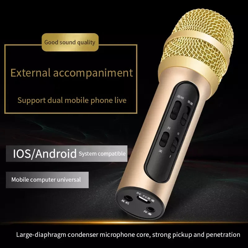 C11 Wireless Kids Karaoke Microphone with Speaker Portable Handheld Music Player for Home Party KTV Mic Show Family Party Gifts Leedoar