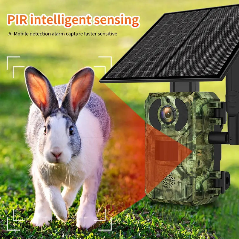 Câmera solar de 4MP 4G 6W Câmera de trilha de caça Áudio bidirecional Detecção PIR Visão noturna infravermelha Detecção de movimento Câmera de vida selvagem