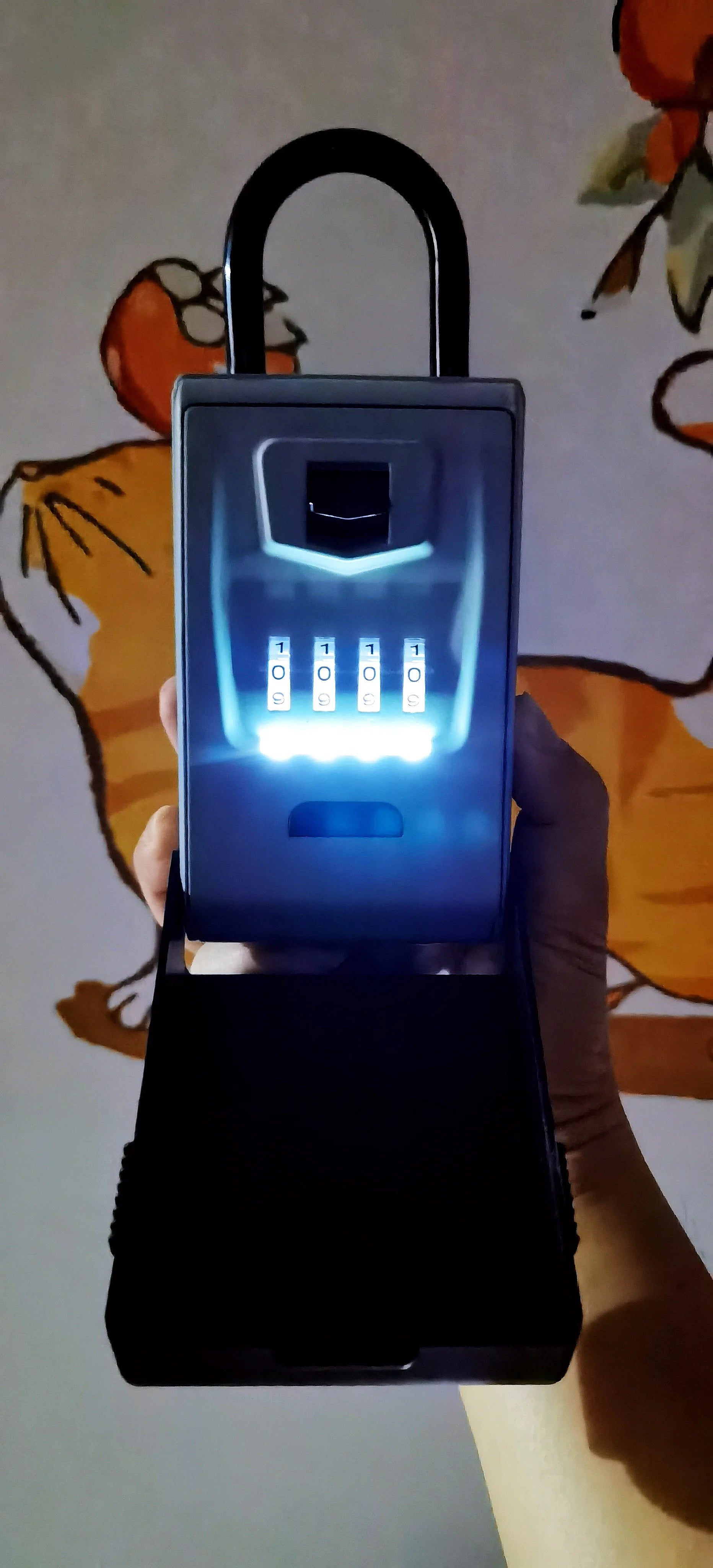 Luminescent Key Box With Night Vision Waterproof Hook Password Keylock Hanging Outdoor Anti-theft Metal Key Safe Deposit Box Leedoar