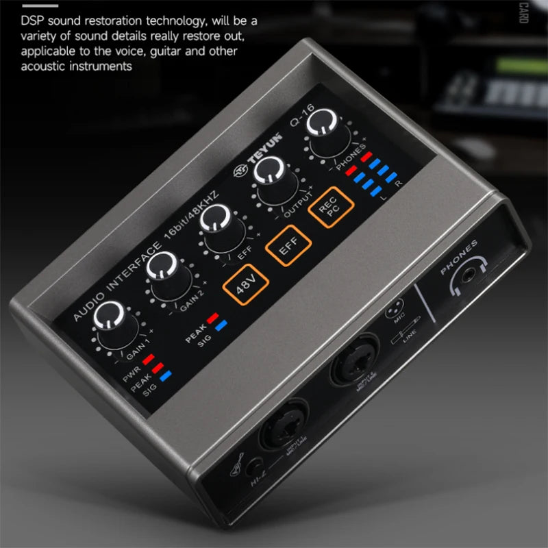 TEYUN Q-16 Professional Audio Sound Card with Electric Guitar Monitor Recording Live Broadcast for Singing Computer PC Studio Leedoar