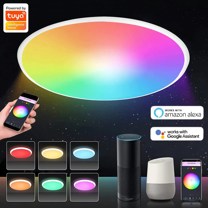 Graffiti WIFI Intelligent Ceiling Lamp Alexa Google Ultra-Thin Simple Tuya RGBCW Colorful Bedroom Lamp Living Room Atmosphere Leedoar