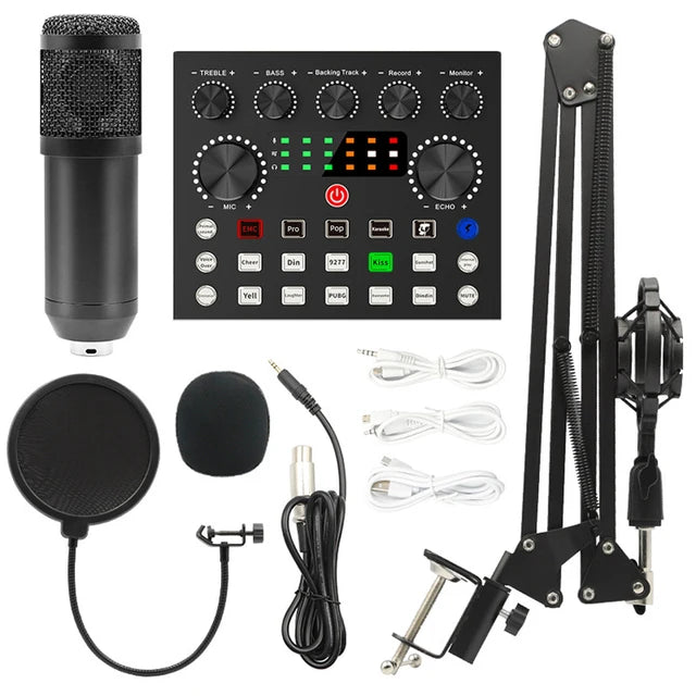 BM800 V8S Sound Card Professional Audio Set BM800 Mic Studio Condenser Microphone for Karaoke Podcast Recording Live Streaming Leedoar