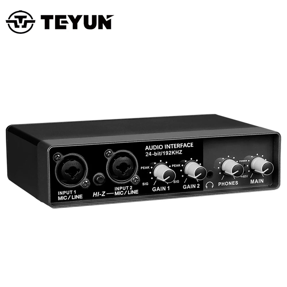 TEYUN Q-24 Q-22 Q-12 Professional Sound Card Audio Mixer Channel Monitoring Electric Guitar Live Recording For Studio Singing Leedoar