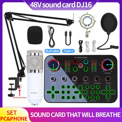 48V DJ16 Sound Card BM 800 Microphone Bluetooth Wireless Karaoke with Live Streaming for PC Phone Singing Games Youtube TikTok Leedoar