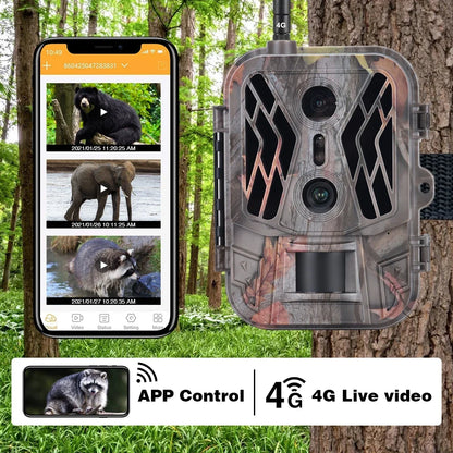 4G HD Live Show Night Vision Trap Game Camera Cellulare Dual Lens Wildlife Hunting Trail Camera with TF Card 36MP 4K Video Leedoar