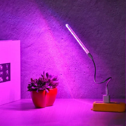 USB 5V LED Grow Light Full Spectrum Plant Lamp with Flexible Hose Indoor Greenhouse Phyto Lamp Flower Seedling Hydroponic Light Leedoar