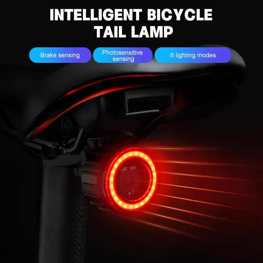 X-TIGER Smart Bicycle Tail Light Waterproof LED Sensor Brake Light Super Bright Cycling Safety Warning Light Leedoar